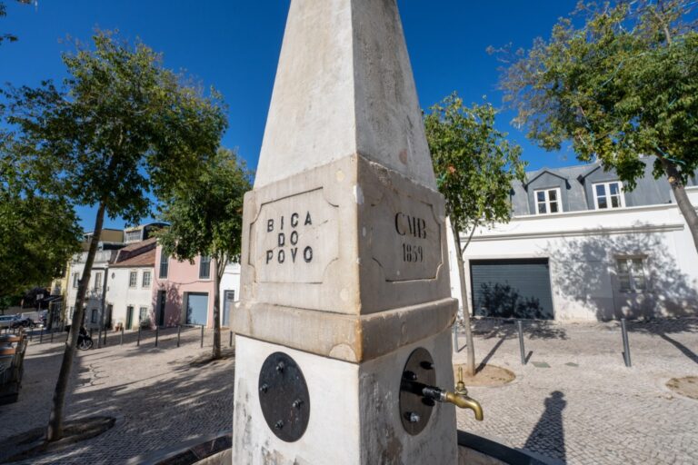 bicadopovo largo da paz 768x512