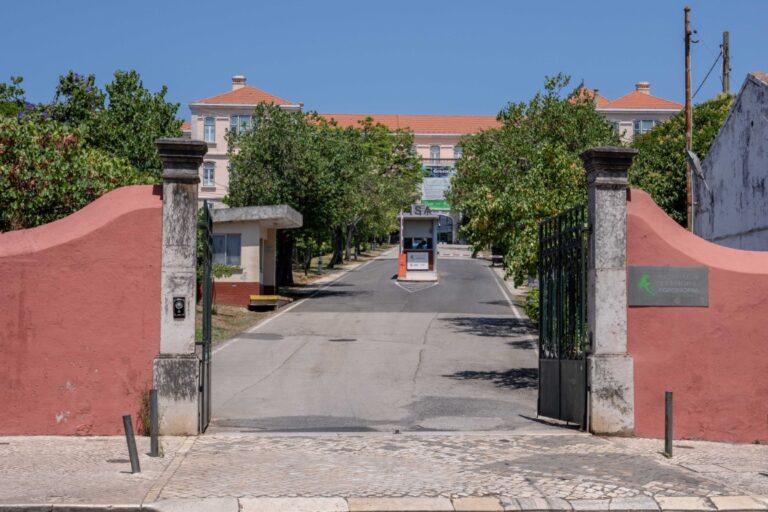 Polo Universitário da Ajuda dsc03736 768x512