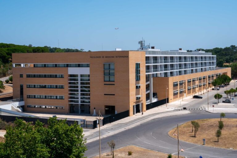 Polo Universitário da Ajuda faculdade de medicina veterinaria 1 2 768x512