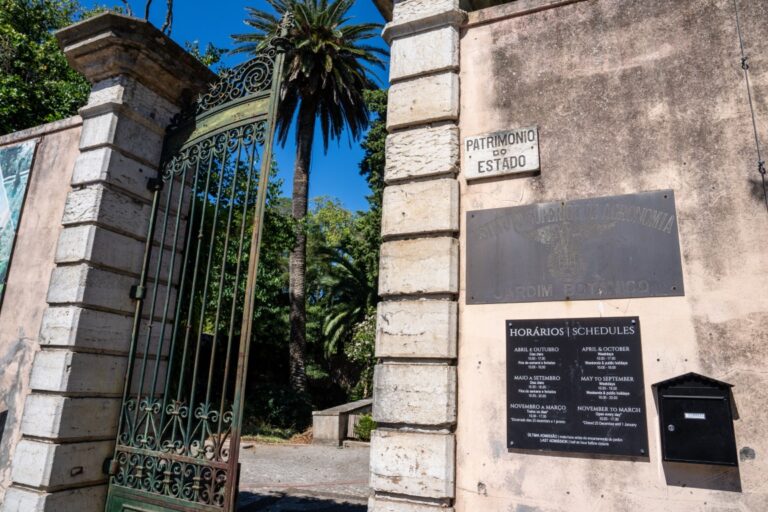 jardimbotanico 4 768x512