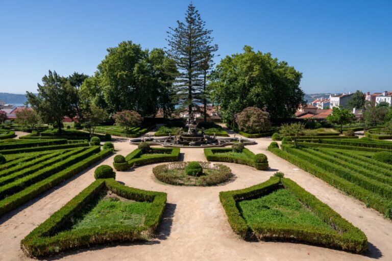 jardimbotanico 8 768x512