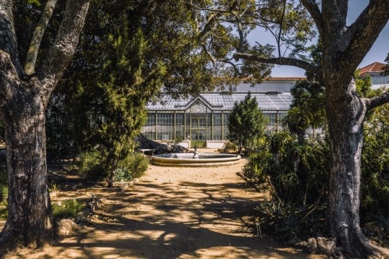 jardimbotanico6 768x512