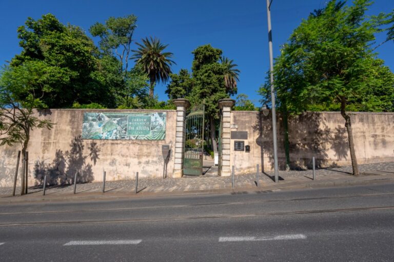 jardimbotanico ajuda lisboa1 768x512